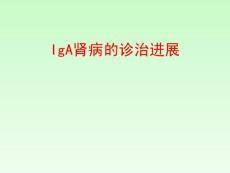 IgA肾病