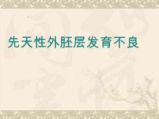 先天性外胚层发育不良