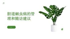 胆道蛔虫病的长期管理和随访建议