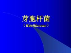 炭疽杆菌课件