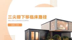 三尖瓣下移临床路径