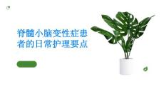 脊髓小脑变性症患者的日常护理要点
