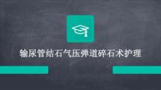 输尿管结石气压弹道结石护理PPT