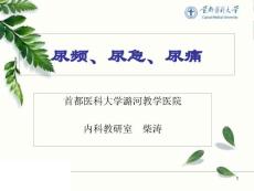 尿频、尿急、尿痛课件