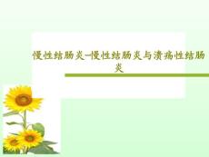 慢性结肠炎慢性结肠炎与溃疡性结肠炎课件