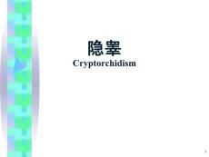 隐睾的护理课件PPT