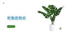 了解密集恐惧症什么是密集恐惧症及其症状