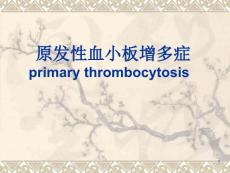 原发性血小板增多症课件