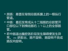 医学课件先天性肠旋转不良的临床特点及各种影像诊断方式价值探讨.ppt