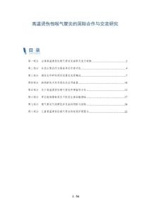 高温烫伤性喉气管炎的国际合作与交流研究