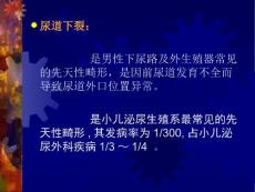 尿道下裂.ppt