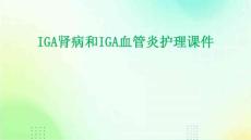 IgA肾病和IgA血管炎护理课件