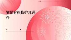 输尿管损伤护理课件