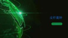 皮样囊肿了解皮样囊肿及时治疗
