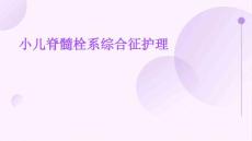小儿脊髓栓系综合征护理ppt