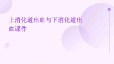 其上的消化道出血称上消化道出血其下的消化道出血称为下消化道出血课件
