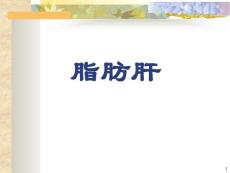 脂肪肝科普课件