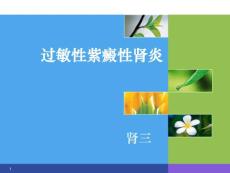 过敏性紫癜性肾炎课件