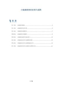 小脑扁桃体的发育与成熟