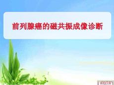 前列腺癌课件