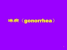 淋病讲课ppt课件