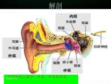 化脓性中耳炎护理