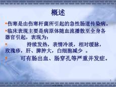 伤寒与副伤寒.pptx