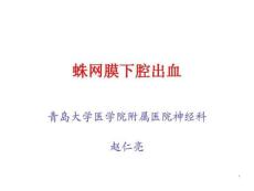 蛛网膜下腔出血课件