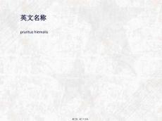 冬季瘙痒症概述.pptx