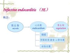 感染性心内膜炎infectiveendocarditis