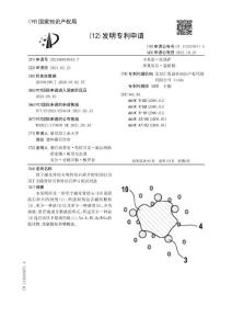 用于磁化肾结石和肾结石碎片的制剂以及用于去除肾结石和肾结石碎片的试剂盒