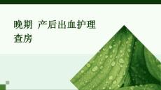 晚期 产后出血护理查房ppt