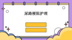 尿路梗阻护理PPT