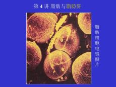 脂肪和脂肪肝