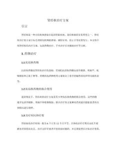 肾结核治疗方案