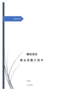 2024年钢坯项目商业发展计划书