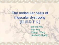 themolecularbasisofmusculardystrophy肌营养不良