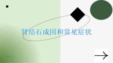 肾结石了解肾结石的成因和常见症状