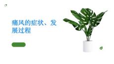 痛风认识痛风的症状和发展过程