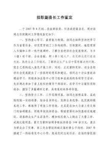 掛職副縣長工作鑒定