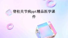 脊柱关节病PPT精品医学课件