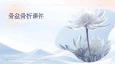 骨盆骨折课件