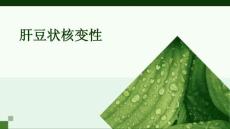 肝豆状核变性
