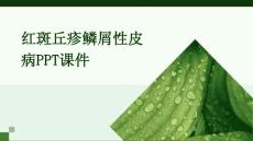 红斑丘疹鳞屑性PPT课件