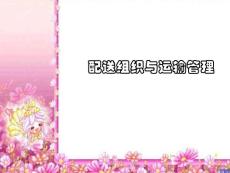 物流师中级考试：配送组织与运输管理
