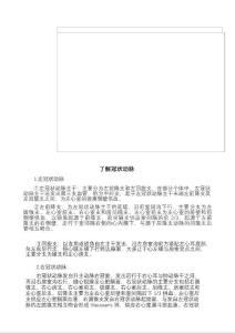 了解冠状动脉