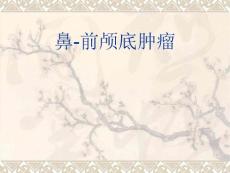 鼻肿瘤