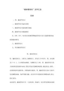 “输尿管结石”文件汇总