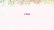肾结核