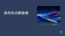 损伤性动静脉瘘